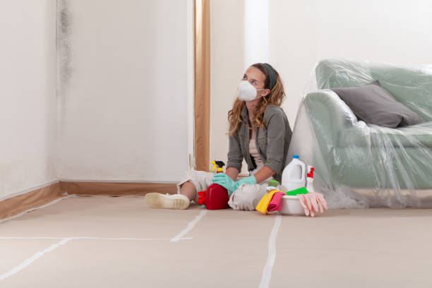 Reliable Mold Cleanup contractor in Sterling, IL by Cheap Mold Removal